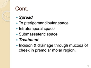 Cont.
 Spread
 To pterigomandibular space
 Infratemporal space
 Submasseteric space
 Treatment
 Incision & drainage through mucosa of
cheek in premolar molar region.
45
 