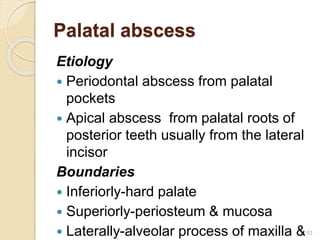 Palatal abscess
Etiology
 Periodontal abscess from palatal
pockets
 Apical abscess from palatal roots of
posterior teeth usually from the lateral
incisor
Boundaries
 Inferiorly-hard palate
 Superiorly-periosteum & mucosa
 Laterally-alveolar process of maxilla &53
 