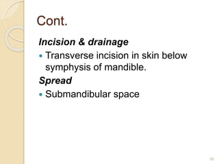Cont.
Incision & drainage
 Transverse incision in skin below
symphysis of mandible.
Spread
 Submandibular space
58
 