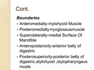 Cont.
Boundaries
 Anteromedially-mylohyoid Muscle
 Posteromedially-hyoglossusmuscle
 Superolaterally-medial Surface Of
Mandible
 Anteroposteriorly-anterior belly of
digastric
 Posterosuperiorly-posterior belly of
digastric,stylohyoid ,stylopharyngeus
musle 60
 