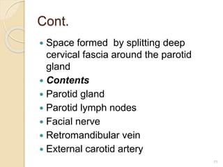 Cont.
 Space formed by splitting deep
cervical fascia around the parotid
gland
 Contents
 Parotid gland
 Parotid lymph nodes
 Facial nerve
 Retromandibular vein
 External carotid artery
71
 