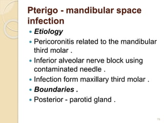 Pterigo - mandibular space
infection
 Etiology
 Pericoronitis related to the mandibular
third molar .
 Inferior alveolar nerve block using
contaminated needle .
 Infection form maxillary third molar .
 Boundaries .
 Posterior - parotid gland .
78
 