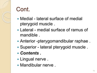 Cont.
 Medial - lateral surface of medial
pterygoid muscle .
 Lateral - medial surface of ramus of
mandible .
 Anterior -pterygomandibular raphae .
 Superior - lateral pterygoid muscle .
 Contents .
 Lingual nerve .
 Mandibular nerve .
79
 