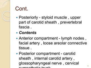 Cont.
 Posteriorly - styloid muscle , upper
part of carotid sheath , prevertebral
fascia .
 Contents
 Anterior compartment - lymph nodes ,
facial artery , loose areolar connective
tissue .
 Posterior compartment - carotid
sheath , internal carotid artery ,
glossopharyngeal nerve , cervical 84
 