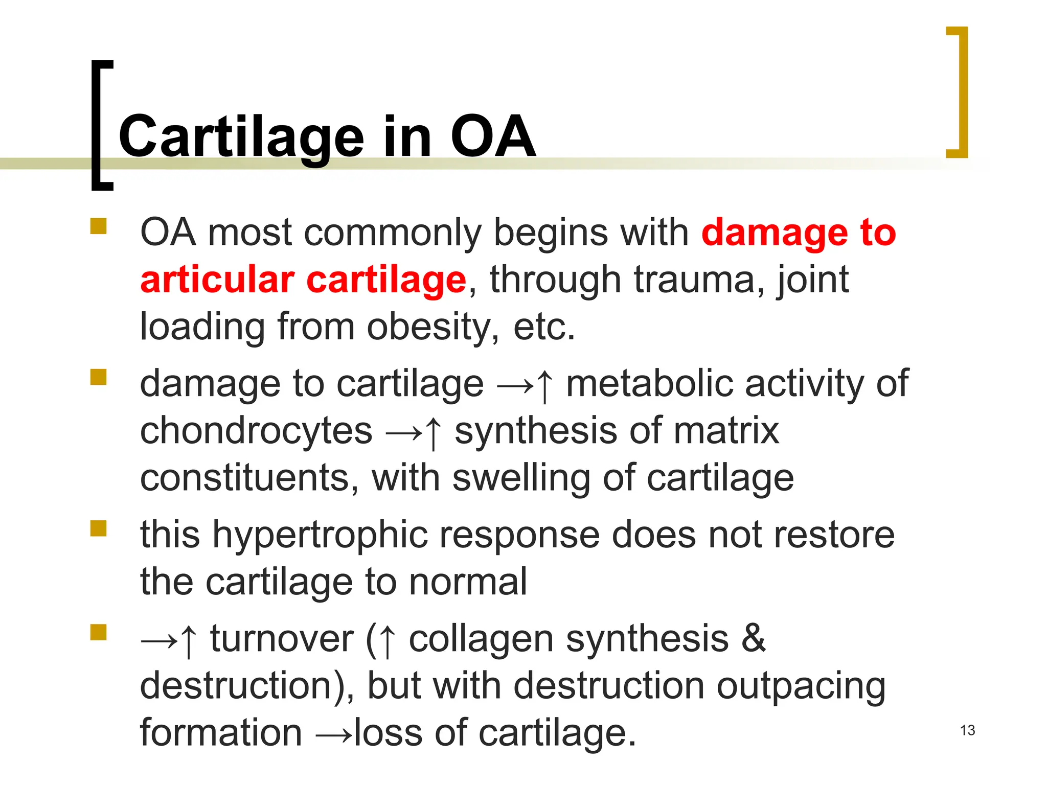 Cartilage in OA
 OA most commonly begins with damage to
articular cartilage, through trauma, joint
loading from obesity, etc.
 damage to cartilage →↑ metabolic activity of
chondrocytes →↑ synthesis of matrix
constituents, with swelling of cartilage
 this hypertrophic response does not restore
the cartilage to normal
 →↑ turnover (↑ collagen synthesis &
destruction), but with destruction outpacing
formation →loss of cartilage. 13
 