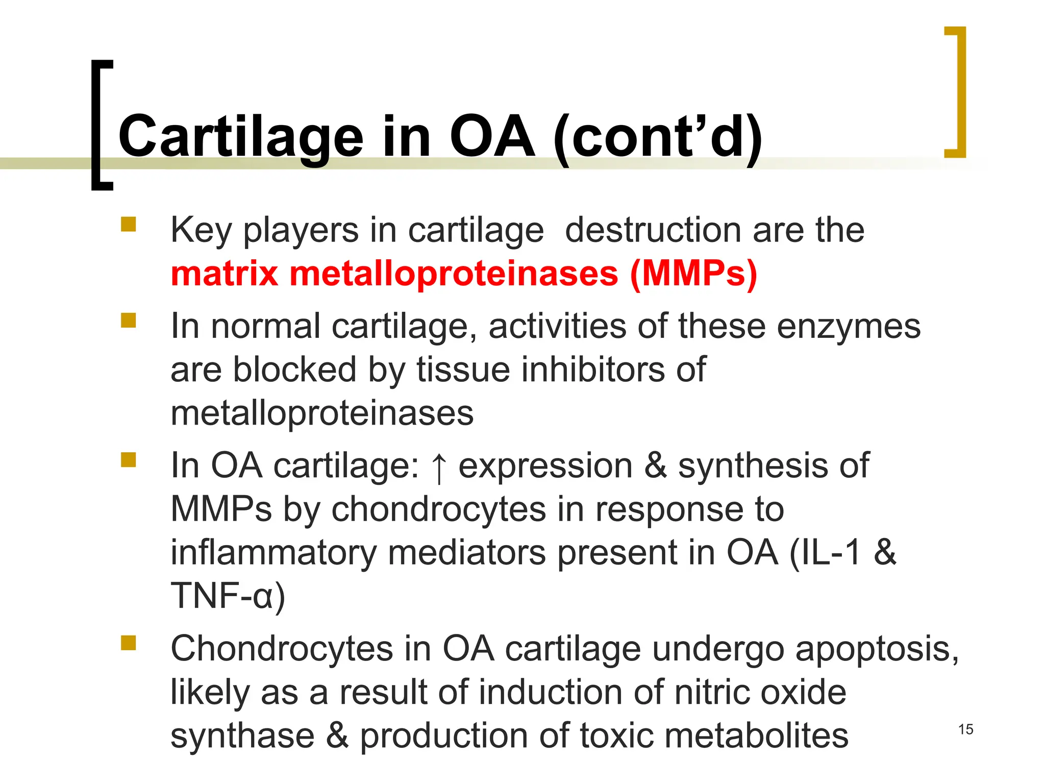 Cartilage in OA (cont’d)
 Key players in cartilage destruction are the
matrix metalloproteinases (MMPs)
 In normal cartilage, activities of these enzymes
are blocked by tissue inhibitors of
metalloproteinases
 In OA cartilage: ↑ expression & synthesis of
MMPs by chondrocytes in response to
inflammatory mediators present in OA (IL-1 &
TNF-α)
 Chondrocytes in OA cartilage undergo apoptosis,
likely as a result of induction of nitric oxide
synthase & production of toxic metabolites 15
 