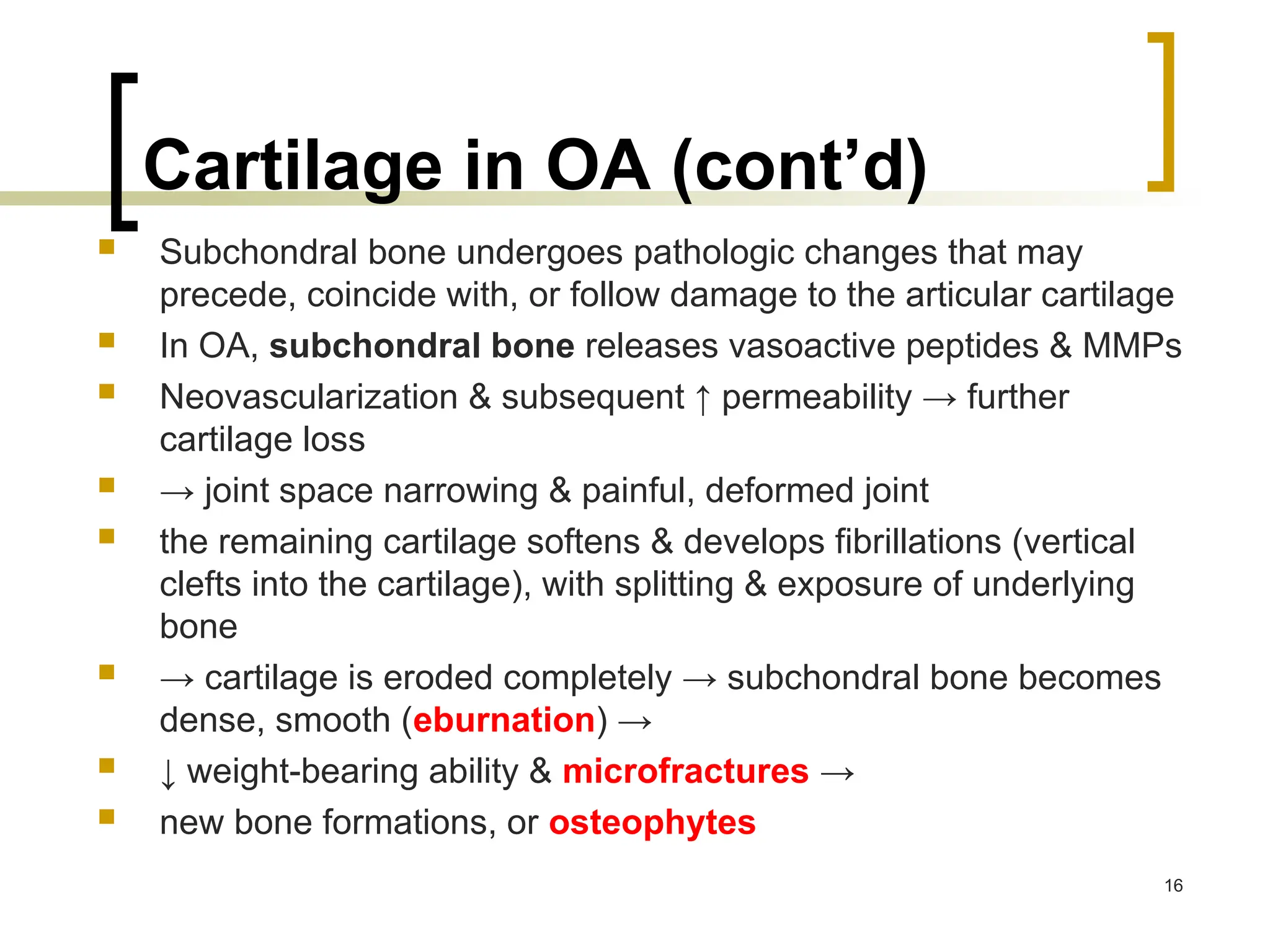 Cartilage in OA (cont’d)
 Subchondral bone undergoes pathologic changes that may
precede, coincide with, or follow damage to the articular cartilage
 In OA, subchondral bone releases vasoactive peptides & MMPs
 Neovascularization & subsequent ↑ permeability → further
cartilage loss
 → joint space narrowing & painful, deformed joint
 the remaining cartilage softens & develops fibrillations (vertical
clefts into the cartilage), with splitting & exposure of underlying
bone
 → cartilage is eroded completely → subchondral bone becomes
dense, smooth (eburnation) →
 ↓ weight-bearing ability & microfractures →
 new bone formations, or osteophytes
16
 