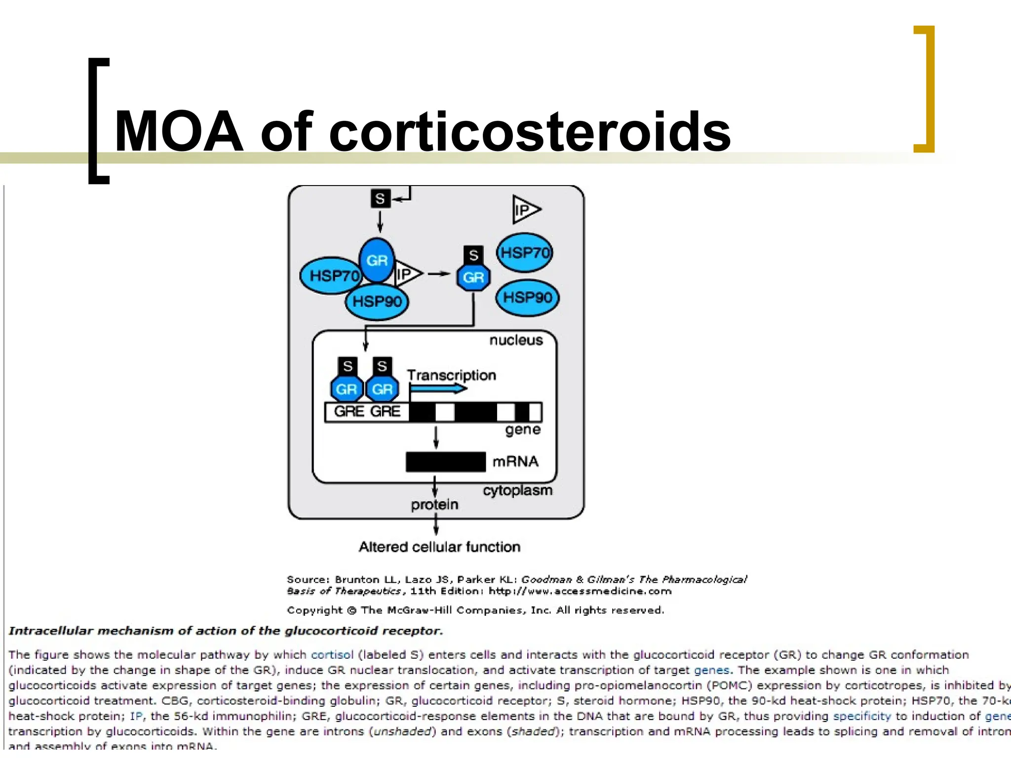 MOA of corticosteroids
86
 