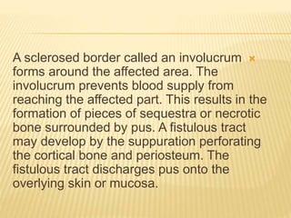 
A sclerosed border called an involucrum
forms around the affected area. The
involucrum prevents blood supply from
reaching the affected part. This results in the
formation of pieces of sequestra or necrotic
bone surrounded by pus. A fistulous tract
may develop by the suppuration perforating
the cortical bone and periosteum. The
fistulous tract discharges pus onto the
overlying skin or mucosa.
 