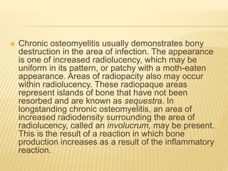  Chronic osteomyelitis usually demonstrates bony
destruction in the area of infection. The appearance
is one of increased radiolucency, which may be
uniform in its pattern, or patchy with a moth-eaten
appearance. Areas of radiopacity also may occur
within radiolucency. These radiopaque areas
represent islands of bone that have not been
resorbed and are known as sequestra. In
longstanding chronic osteomyelitis, an area of
increased radiodensity surrounding the area of
radiolucency, called an involucrum, may be present.
This is the result of a reaction in which bone
production increases as a result of the inflammatory
reaction.
 