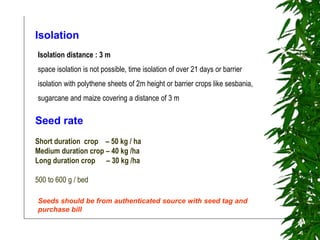 6-Paddy seed production.pptkgkkpkgpkpkpkpkpkp | PPT