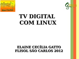 TV DIGITALTV DIGITAL
COM LINUXCOM LINUX
ELAINE CECÍLIA GATTOELAINE CECÍLIA GATTO
FLISOL SÃO CARLOS 2012FLISOL SÃO CARLOS 2012
 