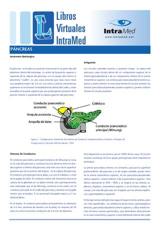 PÁNCREAS
Anatomía Quirúrgica

                                                                              Irrigación

El páncreas se localiza en posición transversal en la parte alta del          Los circuitos arteriales anterior y posterior irrigan la cabeza del
abdomen detrás del estómago. La unión de la porción superior e                páncreas; cada circuito deriva de un componente superior de la
izquierda de la cabeza del páncreas con el cuerpo del mismo se                arteria gastroduodenal y de un componente inferior de la arteria
denomina “cuello”, es una zona estre­cha que raras veces tiene                mesentérica superior. Las arterias pancreaticoduodenal antero-su-
una amplitud mayor de 3-4 cm. Las venas y arterias mesentéricas               perior y antero-inferior se unen para formar el circuito anterior; las
superiores se encuentran inmediatamente detrás del cuello y están             arterias pancreaticoduodenales postero-superior y postero-inferior
envueltas en la parte superior por una pro­longación posterior de la          forman el circuito posterior.
porción inferior e izquierda de la cabeza (gancho del páncreas).




                     Figura 1.- Configuración Anatómica del Sistema de Conductos Intrapancreáticos Schwartz, Principios de
                     Cirugía tomo II; McGraw Hill 6ta edición, 1995




Sistema de Conductos                                                         Esta disposición se encuentra casi en 100% de los casos. El circuito
                                                                             anterior constituye el único grupo principal que tiene importancia
El conducto pancreático principal (conducto de Wirsung) se inicia
                                                                             quirúrgica.
en la cola del páncreas y continúa hacia la derecha entre los bor-
des superior e inferior del páncreas; está más cerca de la superficie        La arteria pancreática inferior, es constante, pasa por la superficie
posterior que de la anterior del órgano. En la cabeza del páncreas           posteroinferior del páncreas y es de origen variable; puede nacer
el conducto principal gira hacia abajo y se une al colédoco a nivel          de la arteria mesentérica superior, de las pancreaticoduodenales
de la papila de Vater. El conducto menor (de Santorini) está en la           antero-superior / antero-inferior ó de la pancreática superior. Esta
cabeza de la glándula en un plano ventral, sitio quirúrgicamente             última representa el 50% - 90% y se origina en las arterias es-
más vulnerable que el de Wirsung; comienza en la unión con el                plénica, hepática, mesentérica superior o en el tronco celíaco. El
conducto principal en el cuello del páncreas y termina en la papila          cuerpo y la cola del páncreas son irrigados por las arterias espléni-
menor, que se localiza 2 cm proximal a la papila mayor y a 7 cm              cas y gastroepiploica izquierda.
distal al píloro.
                                                                             El drenaje venoso del páncreas sigue el trayecto de las arterias, pero
En el adulto, el conducto pancreático principal tiene un diámetro            son más superficiales. La confluencia de las venas: gastroepiploica
de 3-4 mm, aumenta de tamaño con la edad, en mayores de 70                   derecha, pancreaticoduodenal antero-superior y cólica media for-
años es común encontrar conductos de 5-6 mm de diámetro.                     man el tronco venoso gastrocólico, que desem­boca directamente
                                                                             en la vena mesentérica superior a nivel del borde inferior del cuello
 