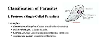 Intestinal Parasites Classification Parasitological Test - Parasitology for Lab Technicians | PPTX