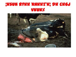 ;ksuhrFkkxHkkZ’k; dkckgjvkuk%