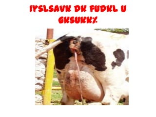 IyslsaVkdkfudkl u gksUkk%