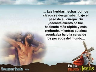 ... Las heridas hechas por los
clavos se desgarraban bajo el
peso de su cuerpo. Su
jadeante aliento se fue
haciendo más rápido y más
profundo, mientras su alma
agonizaba bajo la carga de
los pecados del mundo...
 
