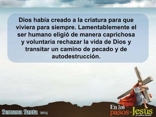 Dios había creado a la criatura para que
viviera para siempre. Lamentablemente el
ser humano eligió de manera caprichosa
y voluntaria rechazar la vida de Dios y
transitar un camino de pecado y de
autodestrucción.
 