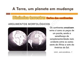 ARGUMENTOS MORFOLÓGICOS
Umnh…será coincidência…?
 