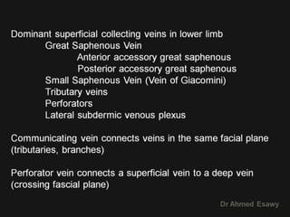 6 peripheral venous duplex superfiscial venous system in lower limb ...