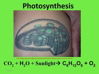 Photosynthesis 7/22/2011 1 http://blogs.discovermagazine.com/loom/2010/02/14/green-power-science-tattoo/ CO2 + H2O + Sunlight C6H12O6 + O2 