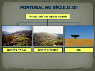 PORTUGAL NO SÉCULO XIII

                Portugal tem três regiões naturais




NORTE LITORAL           NORTE INTERIOR               SUL
 