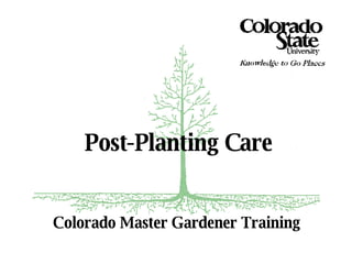 Colorado Master Gardener Training Post-Planting Care 