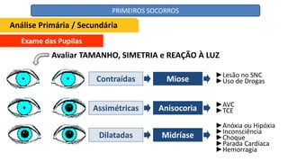Exame das Pupilas
Miose
Anisocoria
Midríase
Contraídas
Assimétricas
Dilatadas
Análise Primária / Secundária
Avaliar TAMANHO, SIMETRIA e REAÇÃO À LUZ
►Lesão no SNC
►Uso de Drogas
►AVC
►TCE
►Anóxia ou Hipóxia
►Inconsciência
►Choque
►Parada Cardíaca
►Hemorragia
PRIMEIROS SOCORROS
 
