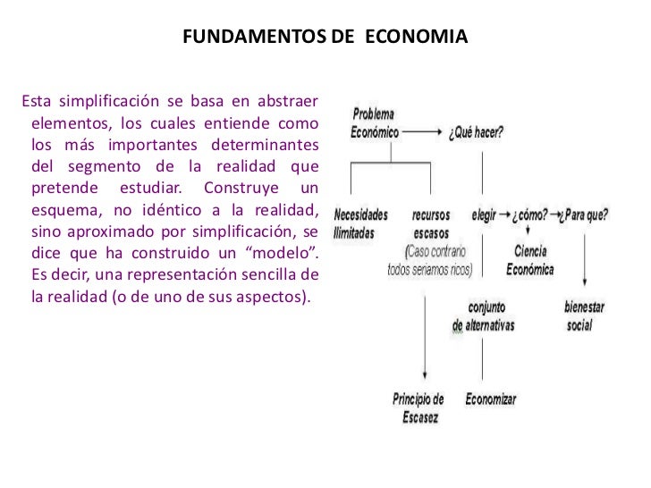 6. principios basicos de economia
