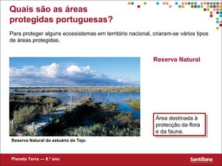 Reserva Natural
Área destinada à
protecção da flora
e da fauna.
Área destinada à
protecção da flora
e da fauna.
Reserva Natural do estuário do Tejo.
Para proteger alguns ecossistemas em território nacional, criaram-se vários tipos
de áreas protegidas.
Planeta Terra — 8.º ano
Quais são as áreas
protegidas portuguesas?
 