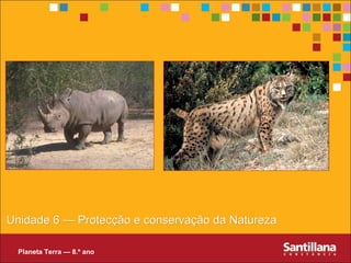 Unidade 6 — ProtecçUnidade 6 — Protecção e conservação da Naturezaão e conservação da Natureza
Planeta Terra — 8.º ano
 