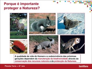 Porque é importante proteger a Natureza? Planeta Terra — 8.º ano A qualidade de vida do Homem e a sobreviv ência das próximas gerações dependem da  manutenção da   biodiversidade  através da  conservação dos recursos naturais  e da  protecção da Natureza. 