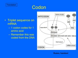 6 - Protein Synthesis and Tracking | PPTX
