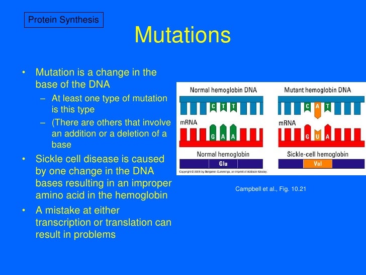 6 Protein Synthesis and Tracking