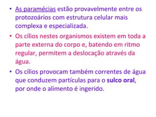 As paramécias  estão provavelmente entre os protozoários com estrutura celular mais complexa e especializada.  Os cílios nestes organismos existem em toda a parte externa do corpo e, batendo em ritmo regular, permitem a deslocação através da água. Os cílios provocam também correntes de água que conduzem partículas para o  sulco oral , por onde o alimento é ingerido. 