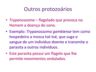 Outros protozoários Trypanossoma  – flagelado que provoca no Homem a doença do sono. Exemplo:  Trypanossoma gambiense  tem como hospedeiro a mosca tsé-tsé, que suga o sangue de um indivíduo doente e transmite o parasita a outros indivíduos. Este parasita possui um flagelo que lhe permite movimentos ondulados. 