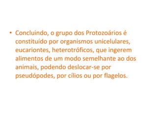Concluindo, o grupo dos Protozoários é constituído por organismos unicelulares, eucariontes, heterotróficos, que ingerem alimentos de um modo semelhante ao dos animais, podendo deslocar-se por pseudópodes, por cílios ou por flagelos. 