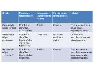 Divisão Pigmentos fotossintéticos Natureza das substâncias de reserva Parede celular (componentes) Habitat Chlorophyta (Algas verdes) Clorofila a, clorofila b. Carotenóides Amido Celulose Frequentemente em águas doces. Algumas marinhas Phaeophyta (Algas castanhas) Clorofila a, clorofila c. Carotenóides, incluindo a fucoxantina. Laminarina Matriz de celulose e algina Quase todas marinhas, em águas frias do oceano. Rhodophyta (Algas vermelhas) Clorofila a, clorofila d. Carotenóides. Ficobilinas. Amido  Celulose Frequentemente marinhas, algumas de água doce. Muitas espécies tropicais. 