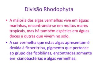 Divisão Rhodophyta A maioria das algas vermelhas vive em águas marinhas, encontrando-se em muitos mares tropicais, mas há também espécies em águas doces e outras que vivem no solo. A cor vermelha que estas algas apresentam é devida à ficoeritrina, pigmento que pertence ao grupo das ficobilinas, encontradas somente em  cianobactérias e algas vermelhas. 