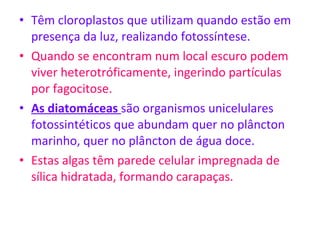 Têm cloroplastos que utilizam quando estão em presença da luz, realizando fotossíntese. Quando se encontram num local escuro podem viver heterotróficamente, ingerindo partículas por fagocitose. As diatomáceas  são organismos unicelulares fotossintéticos que abundam quer no plâncton marinho, quer no plâncton de água doce.  Estas algas têm parede celular impregnada de sílica hidratada, formando carapaças.  