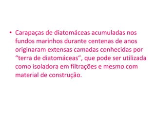 Carapaças de diatomáceas acumuladas nos fundos marinhos durante centenas de anos originaram extensas camadas conhecidas por “terra de diatomáceas”, que pode ser utilizada como isoladora em filtrações e mesmo com  material de construção. 