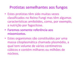 Protistas semelhantes aos fungos Estes protistas têm sido muitas vezes classificados no Reino Fungi mas têm algumas características amibóides, como, por exemplo, a nutrição por fagocitose. Faremos somente referência aos mixomicetos. Estes organismos são constituídos por uma massa citoplasmática chamada plasmódio, a qual tem volume de vários centímetros cúbicos e contém milhares ou milhões de núcleos.  