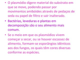 O plasmódio digere material do substrato em que se move, podendo passar por movimentos amibóides através de pedaços de seda ou papel de filtro e sair inalterado. Bactérias, leveduras e plantas em decomposição são o seu alimento mais comum. Se o meio em que os plasmódios vivem começar a secar, ou se houver escassez de alimento, formam-se esporângios idênticos aos dos fungos, os quais têm cores diversas conforme as espécies.  
