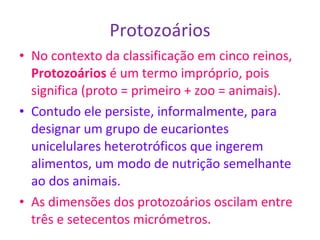 Protozoários No contexto da classificação em cinco reinos,  Protozoários  é um termo impróprio, pois significa (proto = primeiro + zoo = animais). Contudo ele persiste, informalmente, para designar um grupo de eucariontes unicelulares heterotróficos que ingerem alimentos, um modo de nutrição semelhante ao dos animais. As dimensões dos protozoários oscilam entre três e setecentos micrómetros.  