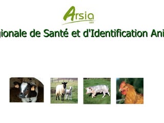 Association Régionale de Santé et d'Identification Animales - a.s.b.l.  