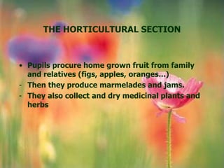 THE HORTICULTURAL SECTION



• Pupils procure home grown fruit from family
  and relatives (figs, apples, oranges...)
- Then they produce marmelades and jams.
- They also collect and dry medicinal plants and
  herbs
 