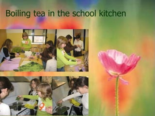 Boiling tea in the school kitchen
 