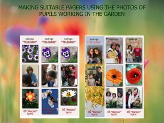 MAKING SUITABLE PAGERS USING THE PHOTOS OF
       PUPILS WORKING IN THE GARDEN
 