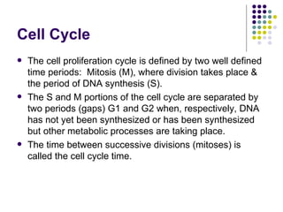 Cell Cycle
   The cell proliferation cycle is defined by two well defined
    time periods: Mitosis (M), where division takes place &
    the period of DNA synthesis (S).
   The S and M portions of the cell cycle are separated by
    two periods (gaps) G1 and G2 when, respectively, DNA
    has not yet been synthesized or has been synthesized
    but other metabolic processes are taking place.
   The time between successive divisions (mitoses) is
    called the cell cycle time.
 