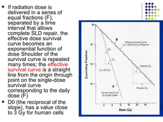    If radiation dose is
    delivered in a series of
    equal fractions (F),
    separated by a time
    interval that allows
    complete SLD repair, the
    effective dose survival
    curve becomes an
    exponential function of
    dose Shoulder of the
    survival curve is repeated
    many times; the effective
    survival curve is a straight
    line from the origin through
    point on the single-dose
    survival curve
    corresponding to the daily
    dose (F)
   D0 (the reciprocal of the
    slope), has a value close
    to 3 Gy for human cells
 